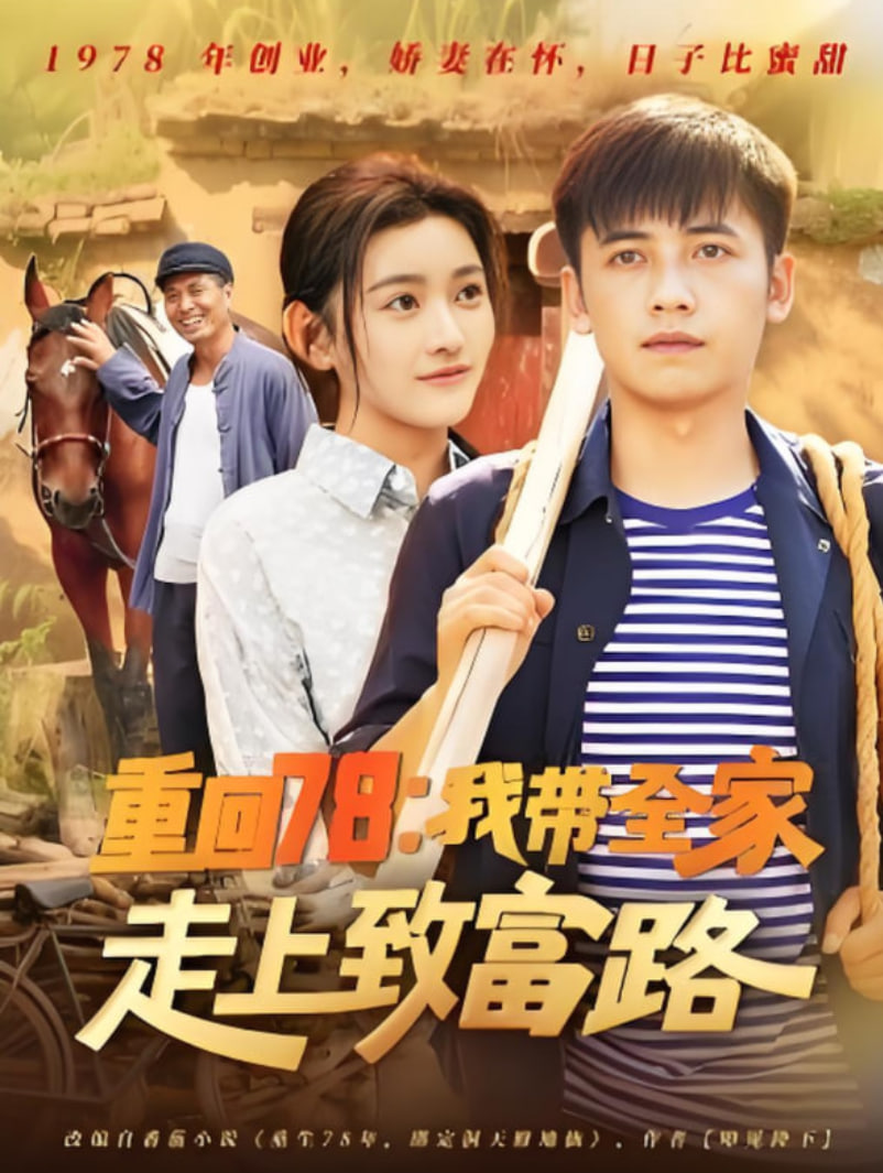 黑莲花攻略手册电视剧