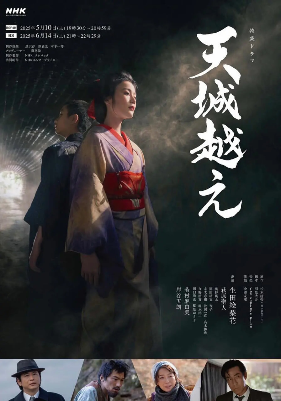 苍狼电视剧全集免费播放