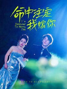 满天星电影免费观看