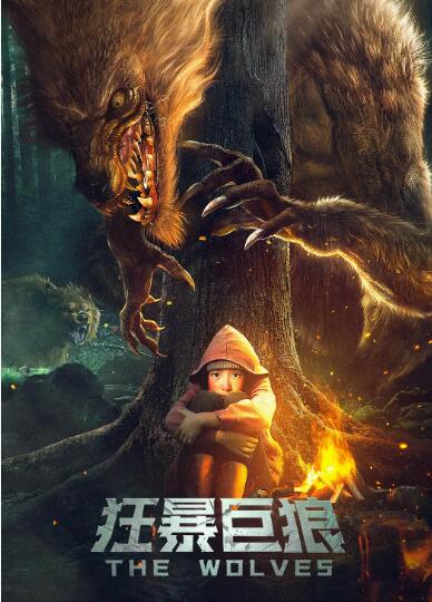 爱的厘米电视剧