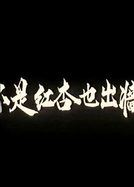 你好神枪手电视剧免费观看啊