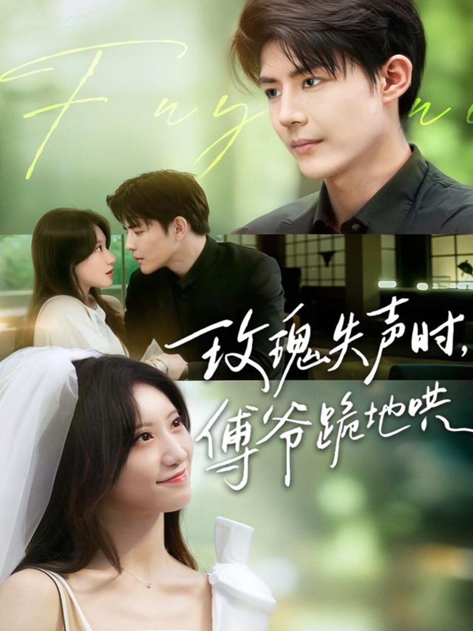 《家访老师》日剧观看