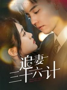 王牌部队在线观看完整版免费