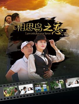 似锦电视连续剧免费观看