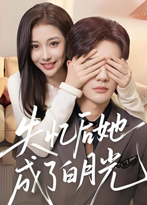 独刺电视剧全集剧情