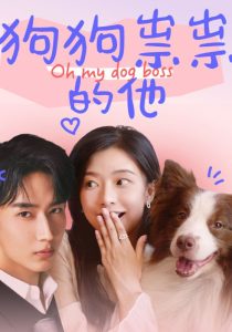 扶摇电视剧全集在线高清免费观看