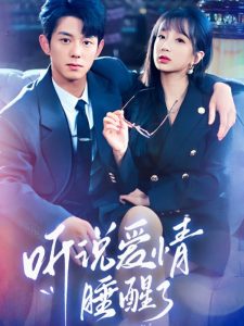 电视剧扇娘全集