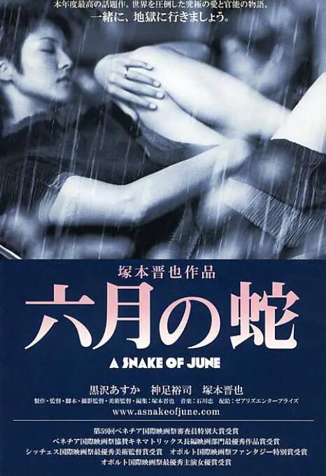 《玉女心经之观音坐莲》电视剧