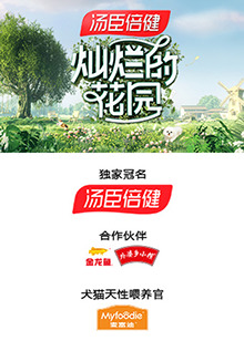 陈浩民电视剧全集