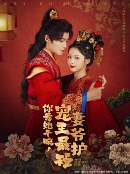 我的女神室友斗娜 电视剧