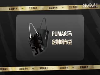 桃花映江山免费看全集