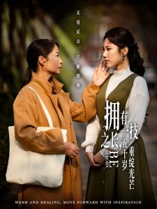 龙年档案 电视剧