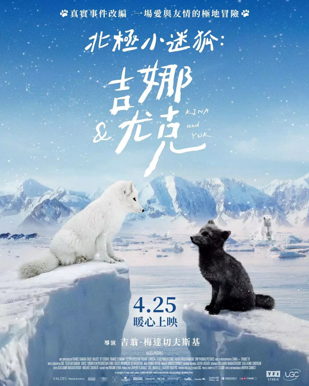 海豚湾恋人 电视剧