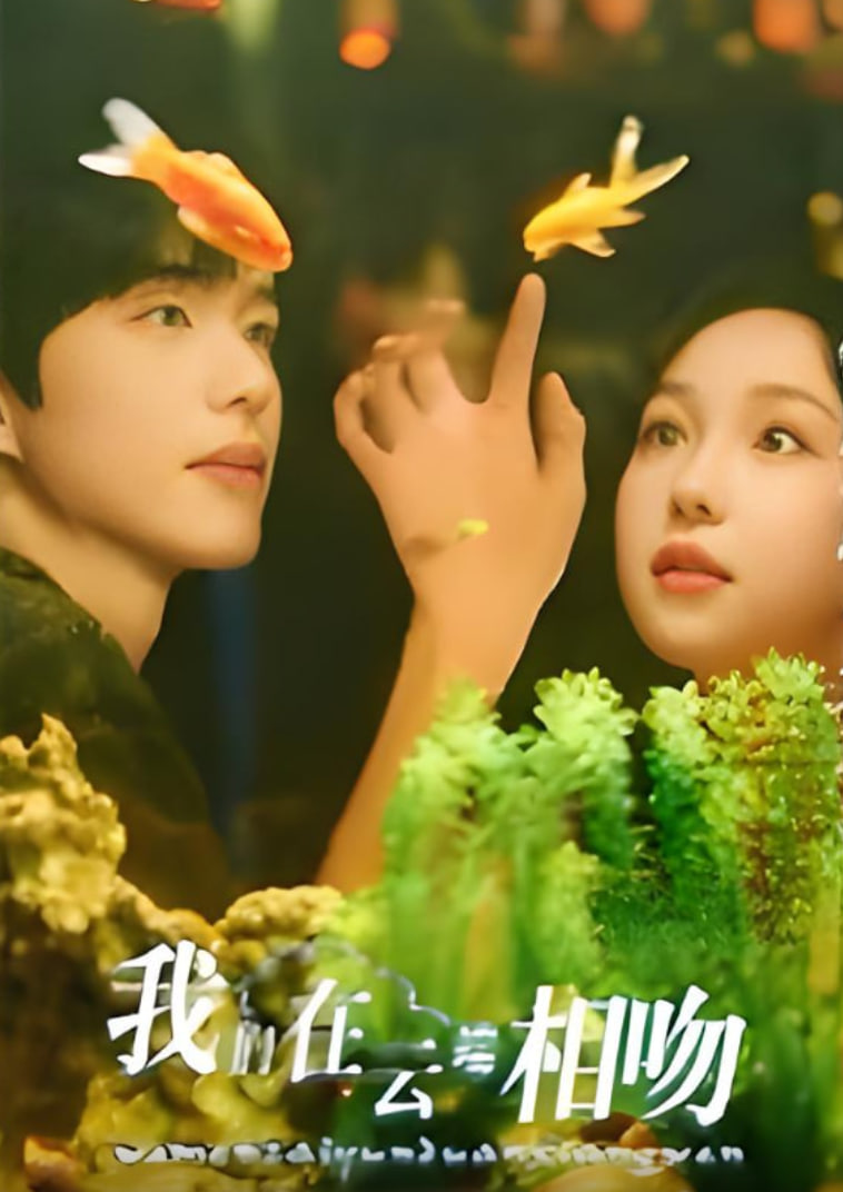 中国医生 电影免费观看完整版2021