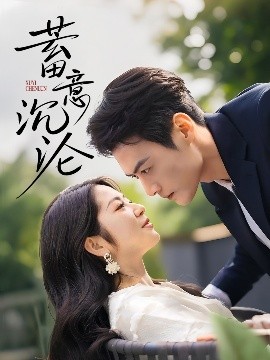 铁血武工队传奇 电视剧