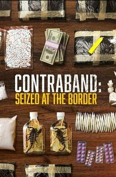 一生一世电视剧免费播放