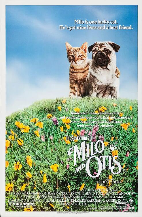 刑警队长电视剧