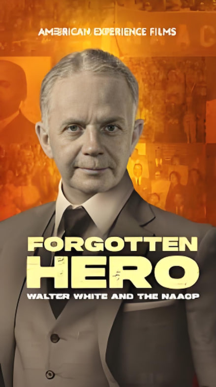 密逃第六季在线观看免费