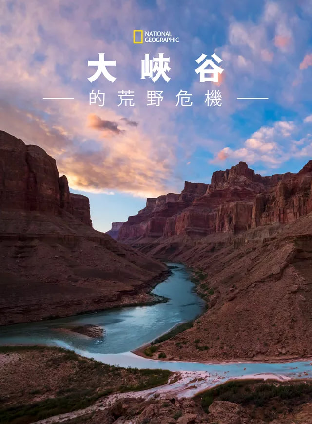 青柠在线观看免费高清电视剧