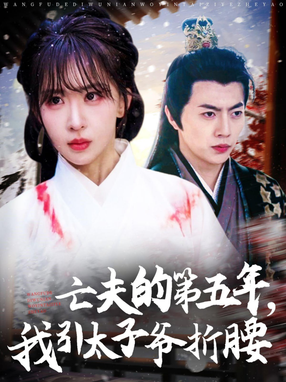 大清后宫之还君明珠 电视剧