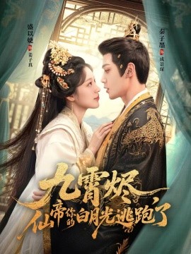 边关烽火情电视剧全集