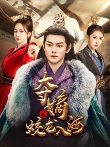 电视剧小爸爸全集