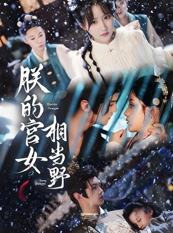 炽道电视剧全集