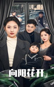 夏家三千金电视剧全集免费