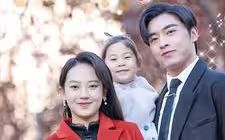 三分野电视剧剧情免费观看全集