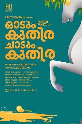 钻石王老五的艰难爱情电视剧全集