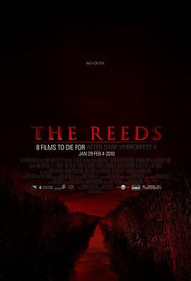 日剧公媳在厨房的电视剧