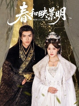 妙手房术在线观看