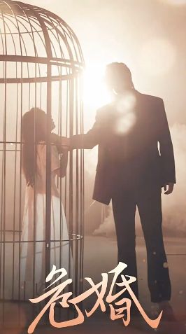 喜羊羊大电影5全集