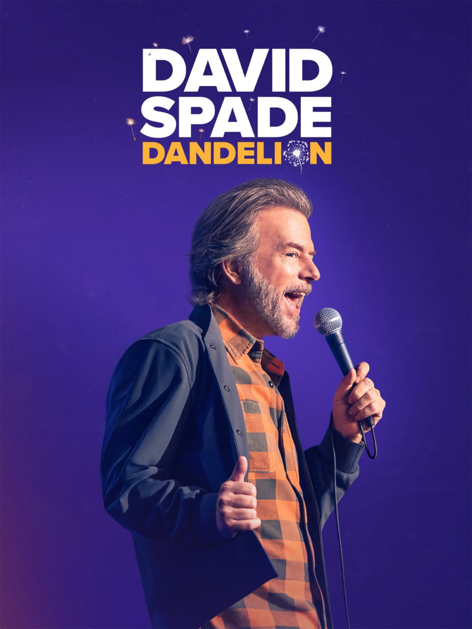 谢文东电视剧全集35