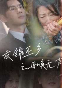 绽放的许开心全集免费观看