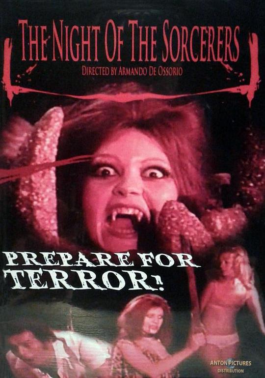 电视剧保卫延安