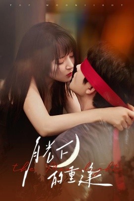 秋风误短剧免费观看高清