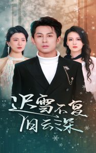 美人无泪 电视剧