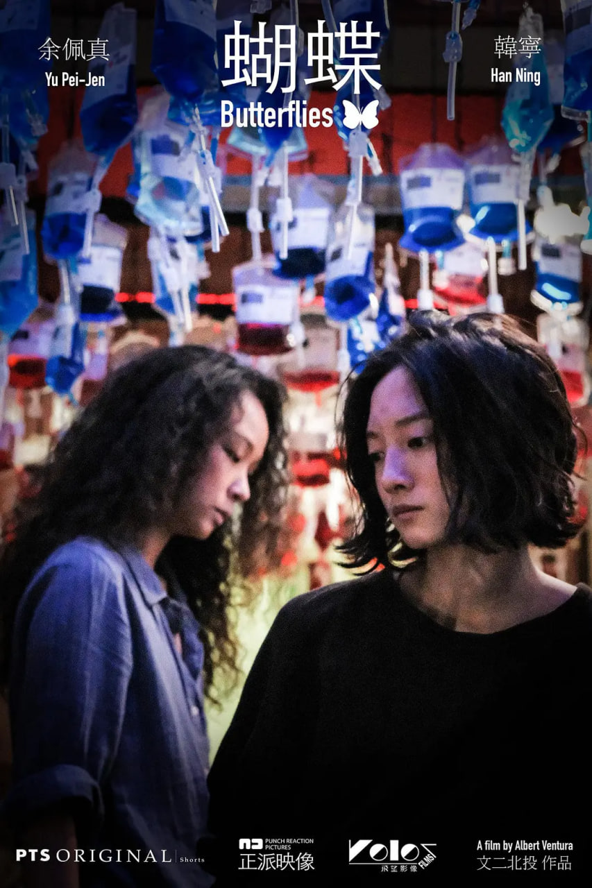 狂飙电视剧在线观看完整版