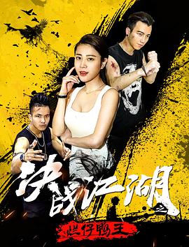 精忠岳飞电视剧全集在线观看