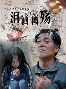 《伪装者》电视剧