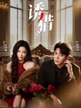 斗破苍穹年番104集全集免费观看