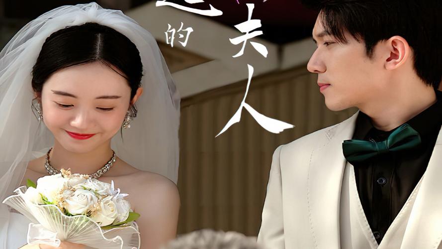 全能奶爸短剧免费观看