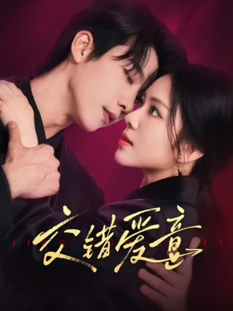 以法之名免费观看全集电视剧