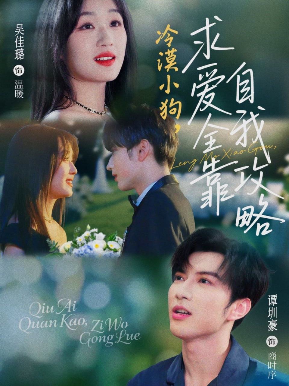 纸玫瑰短剧免费观看高清