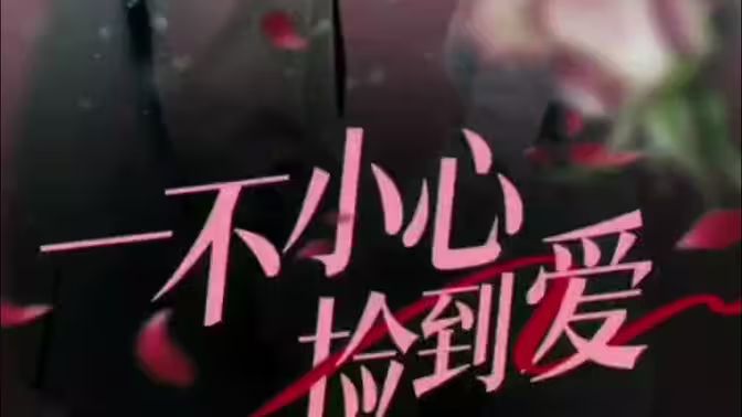 结婚前规则电视剧全集