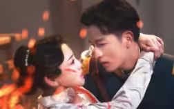 公安局长 电视剧