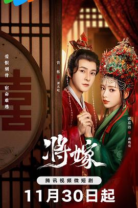 新剧《扫毒风暴》电视剧