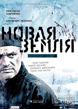 王大花的革命生涯 电视剧