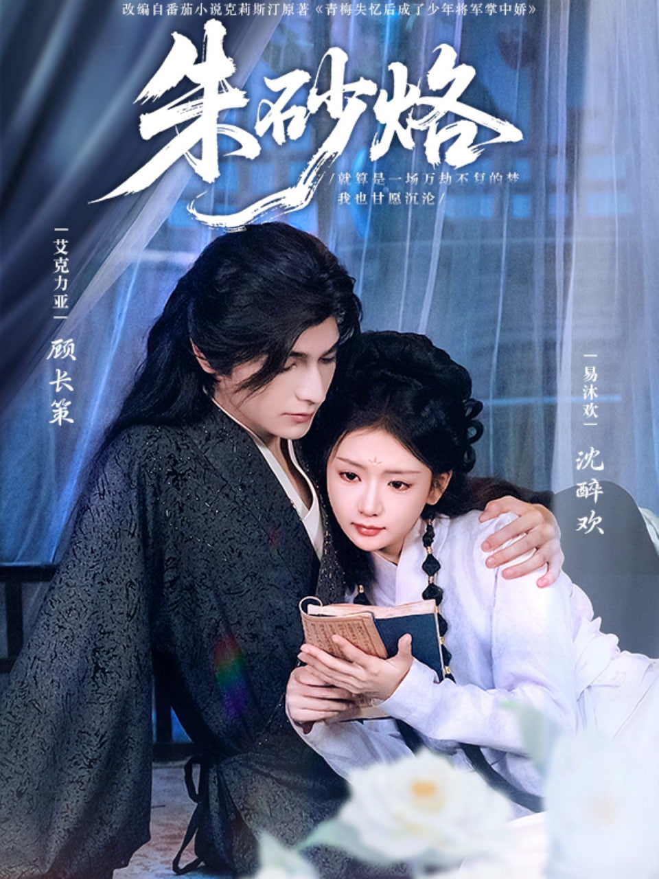 桃花映江山电视剧观看